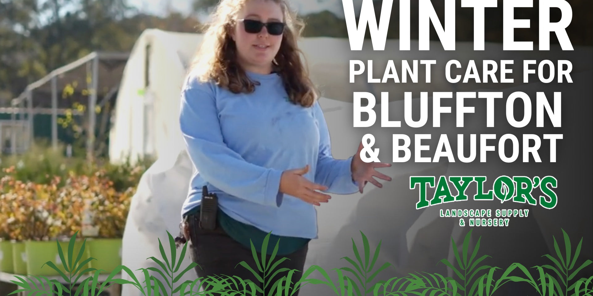 Mastering Winter Plant Care: Essential Tips from Taylor's Landscape Supply