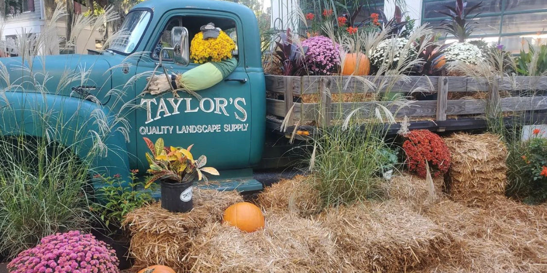 A Great Time was Had by All at the Habersham Harvest Festival!