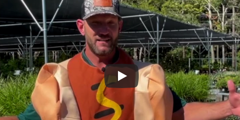 Fall Festival & Costume Contest at Taylor's Landscape Supply in Bluffton