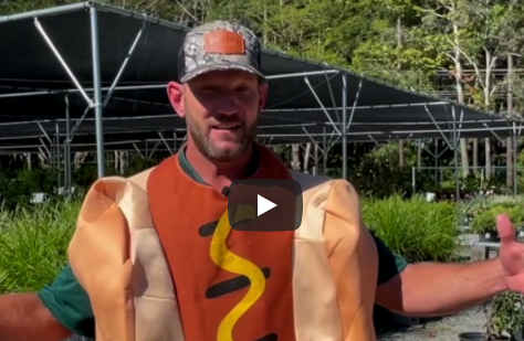 Fall Festival & Costume Contest at Taylor's Landscape Supply in Bluffton