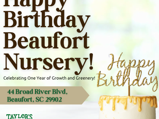 Beaufort Nursery Turns 1 Year Old Today!