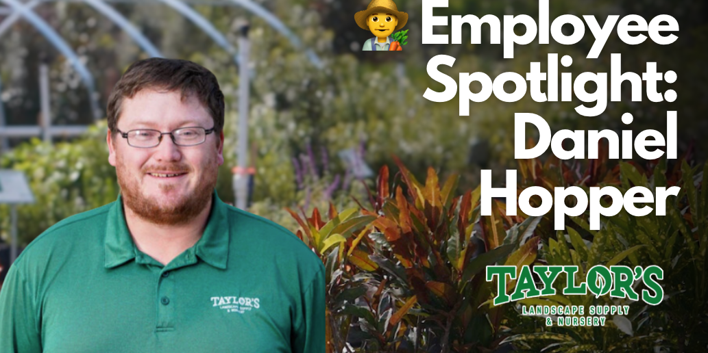 👨🌾 Employee Spotlight: Daniel Hopper