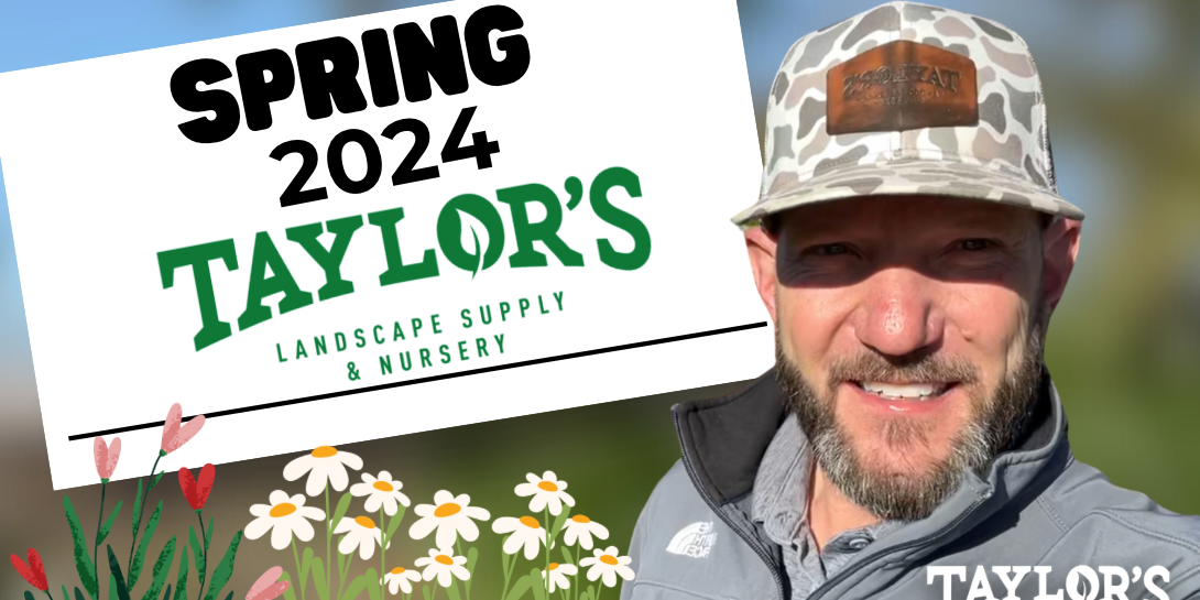 Spring Awakening: Discovering the Lowcountry & Coastal Empire in Full Bloom