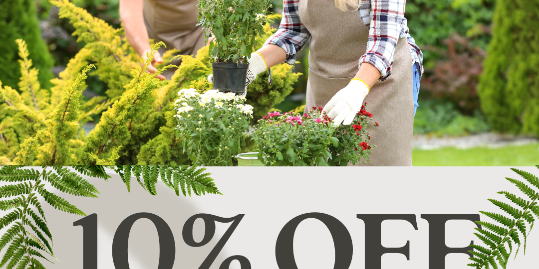 Senior Wednesdays: Exclusive Discount to Senior Citizens Every Week