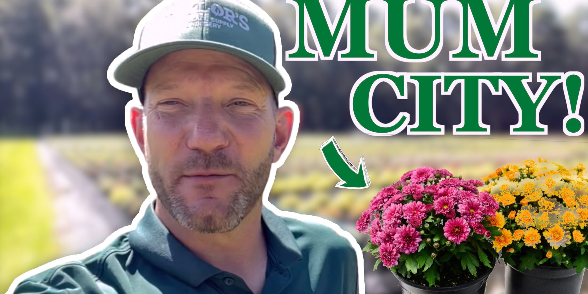 It's Mums Season in the Lowcountry & Coastal Empire