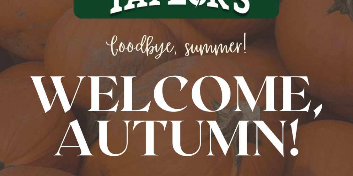 It's Pumpkin Time at Taylor's Landscape Supply in Bluffton, South Carolina