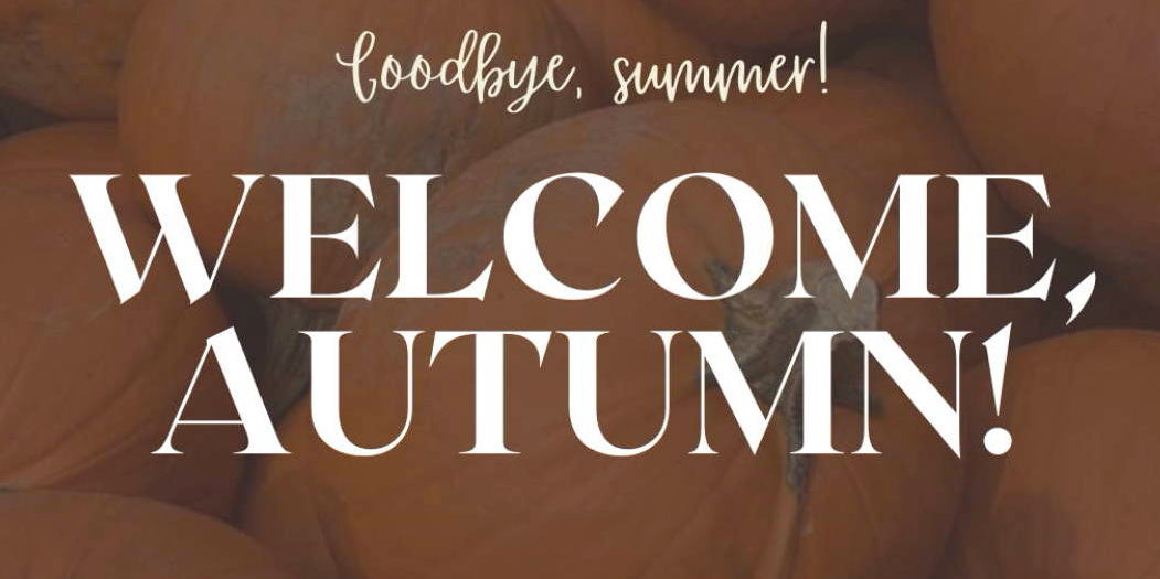 It's Pumpkin Time at Taylor's Landscape Supply in Bluffton, South Carolina