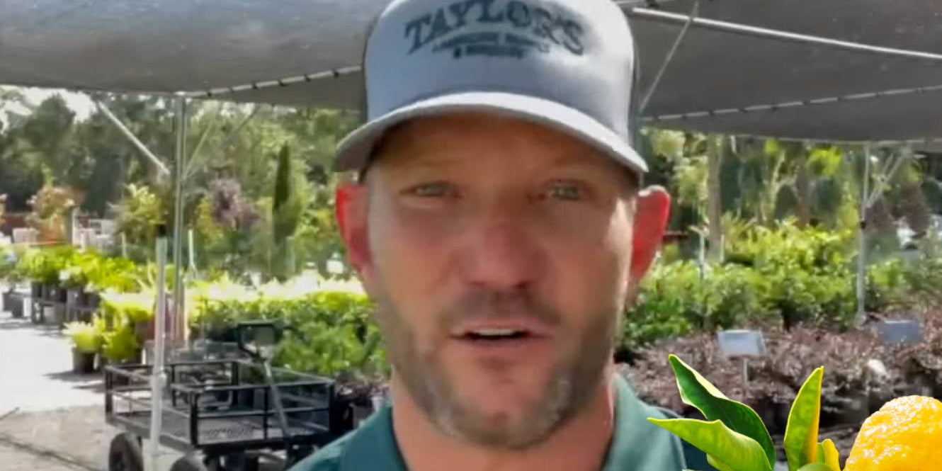 Our BIGGEST Citrus Shipment EVER!