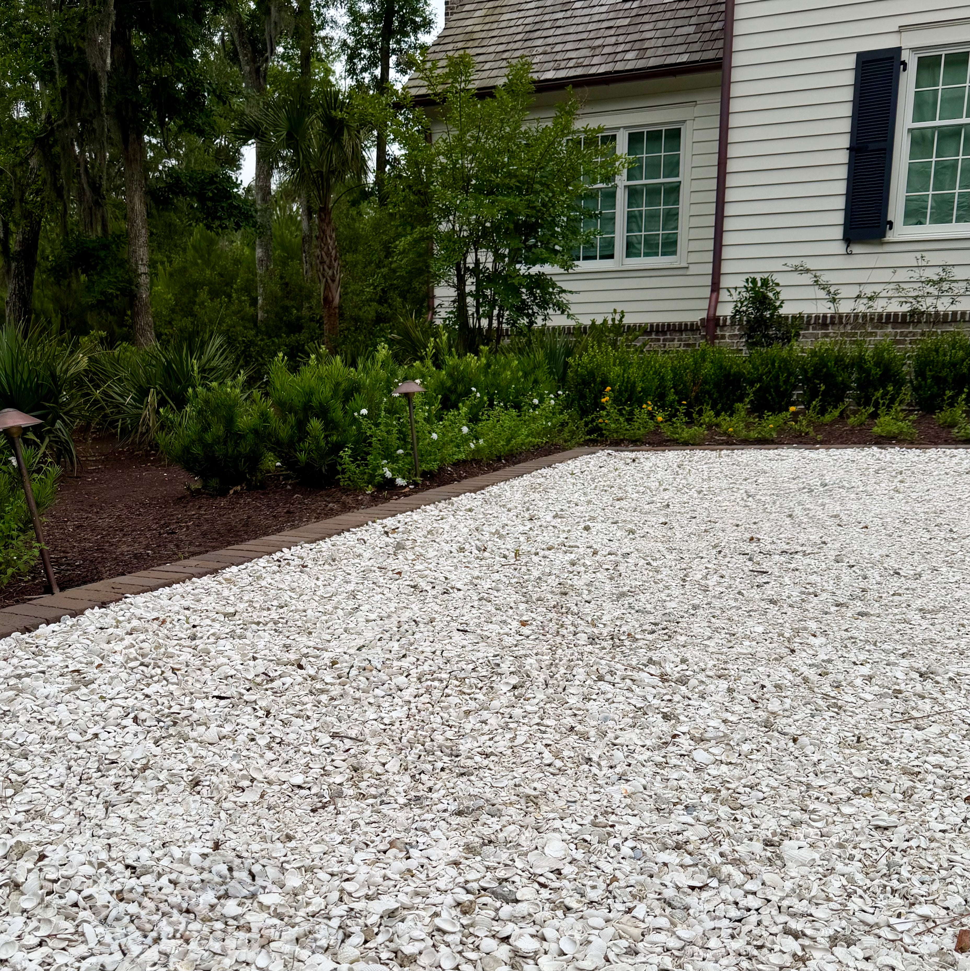 Florida Seashell