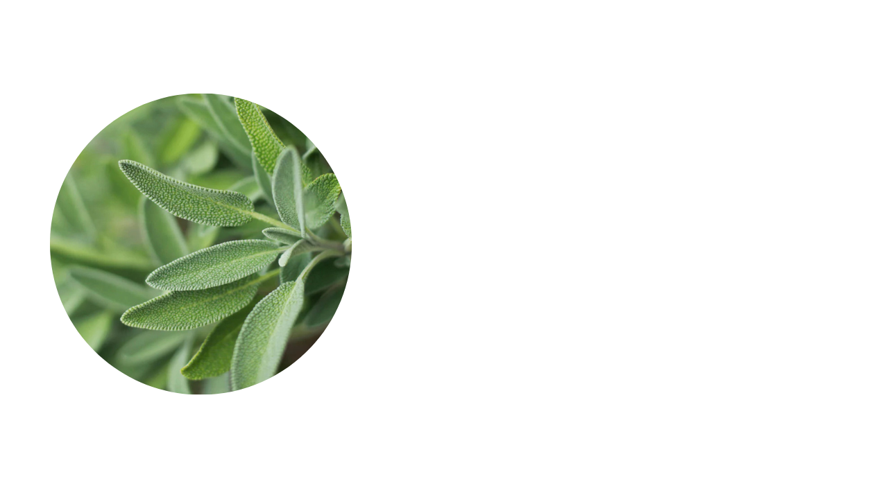 Herbsphoto layout2