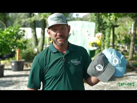 Taylor's Exclusive Hat of the Month - October 2023 - #1