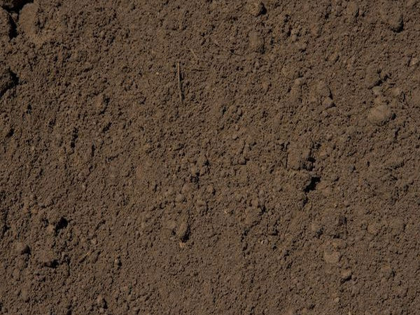 Topsoil screened