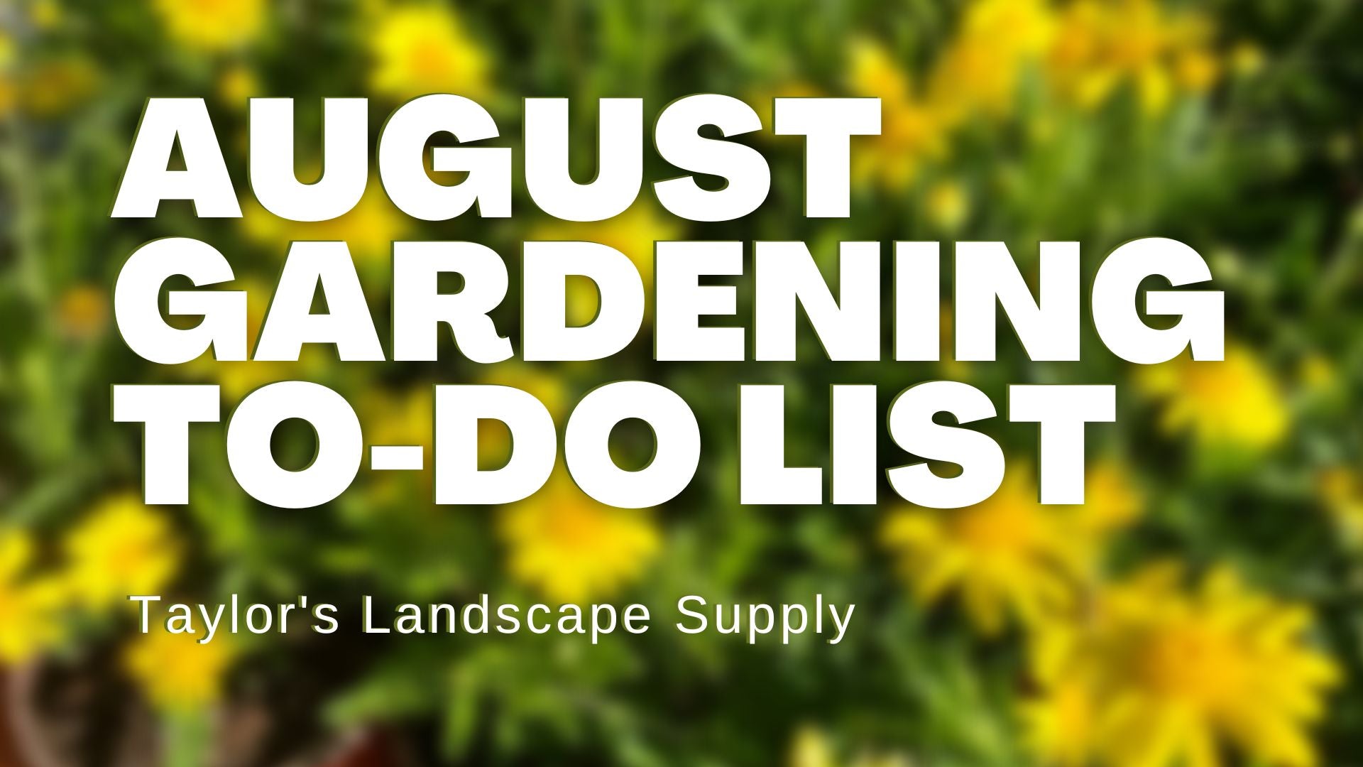 August Gardening To-Do List from Taylor's Landscape Supply