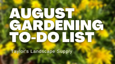 August Gardening To-Do List from Taylor's Landscape Supply