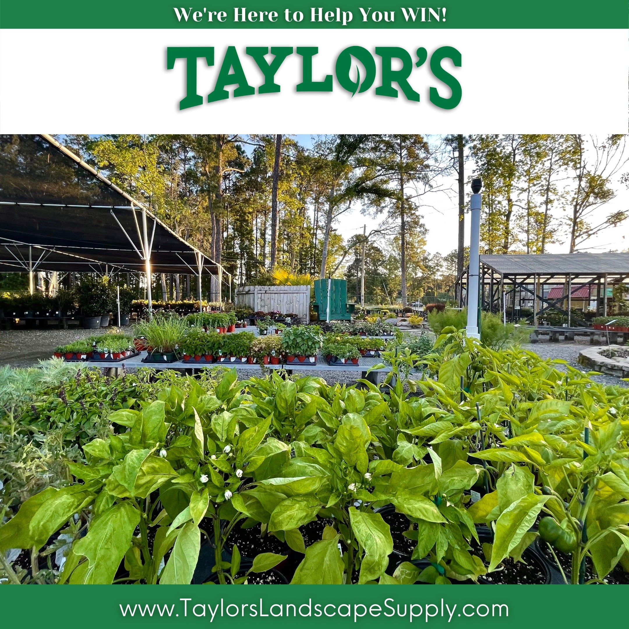 Mornings with our Customers