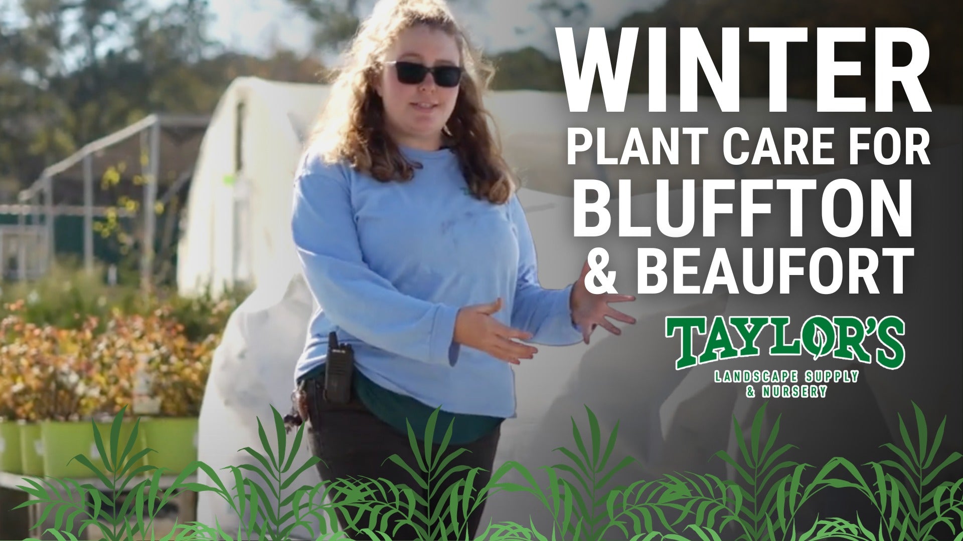 Mastering Winter Plant Care: Essential Tips from Taylor&#39;s Landscape Supply