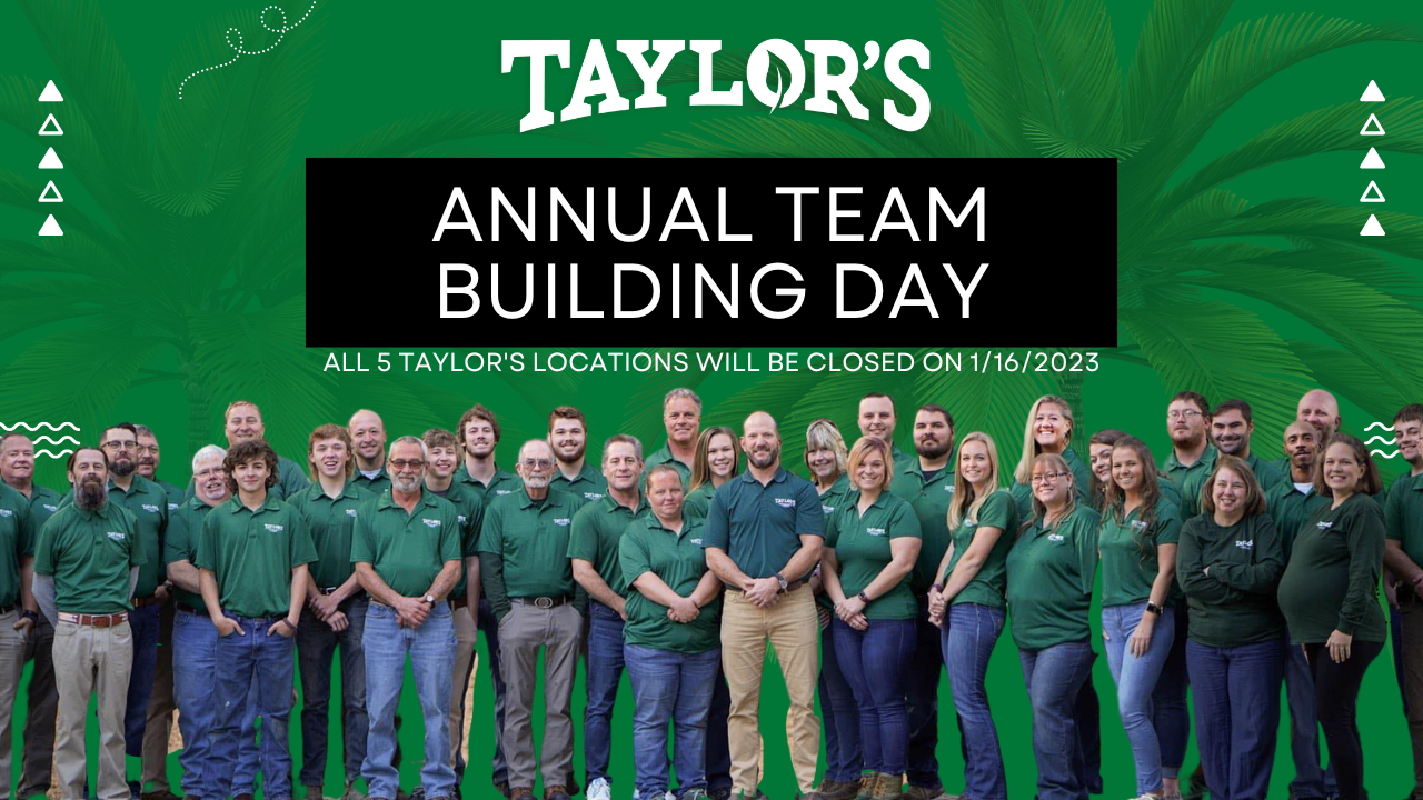 Investing in Our Team: Announcing Taylor&#39;s Team Building Day