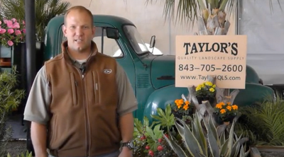 Mulches and Decorative Rock Ground Coverings | Taylor's Quality Landscape Supply & Nursery