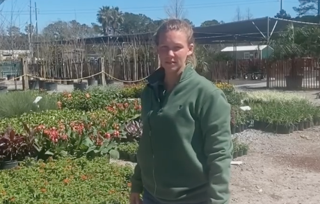 Nursery manager, Lauren, is here to answer your questions about special orders and deliveries! | Taylor's Quality Landscape Supply &amp; Nursery