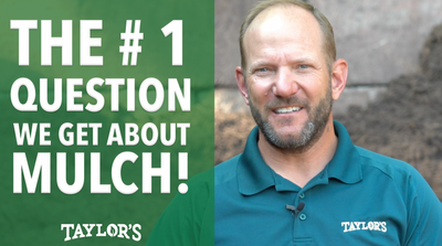 We get asked a ton of questions about mulch...