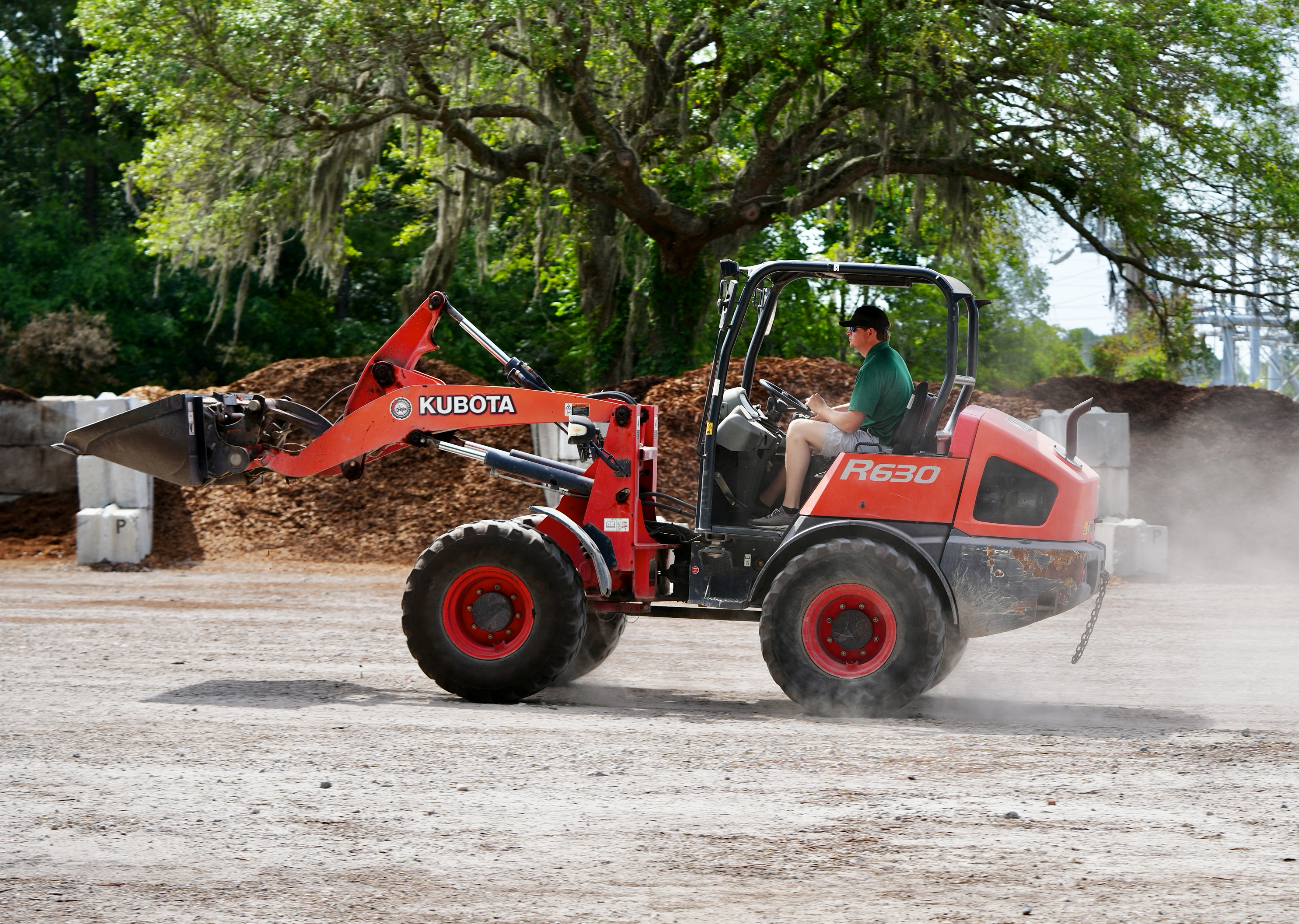 Do&#39;s and Don&#39;ts of Winter Lawn Care in the Lowcountry