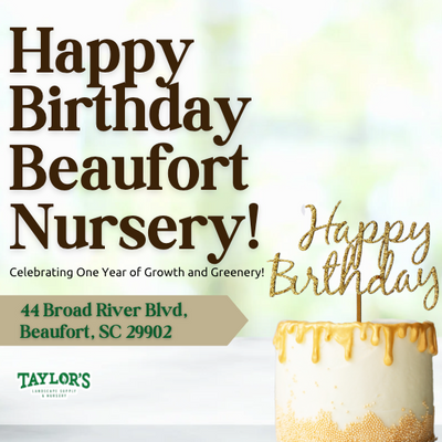 Beaufort Nursery Turns 1 Year Old Today!
