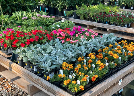 Mother's Day Special: Bloom with Love at Taylor's Landscape Supply in Bluffton