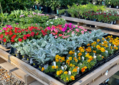 Mother's Day Special: Bloom with Love at Taylor's Landscape Supply in Bluffton