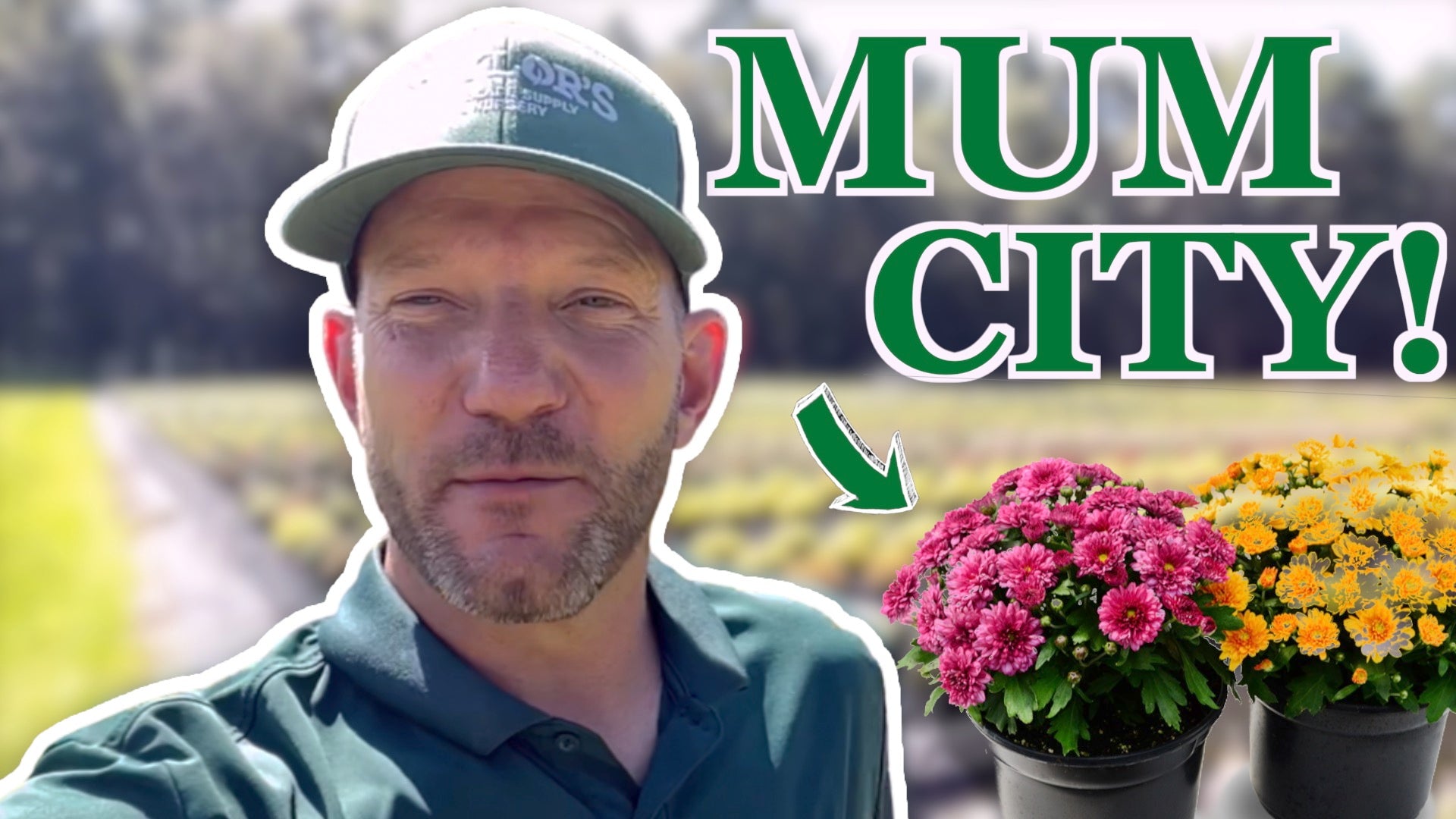 It's Mums Season in the Lowcountry &amp; Coastal Empire