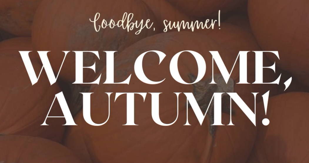 It's Pumpkin Time at Taylor's Landscape Supply in Bluffton, South Carolina