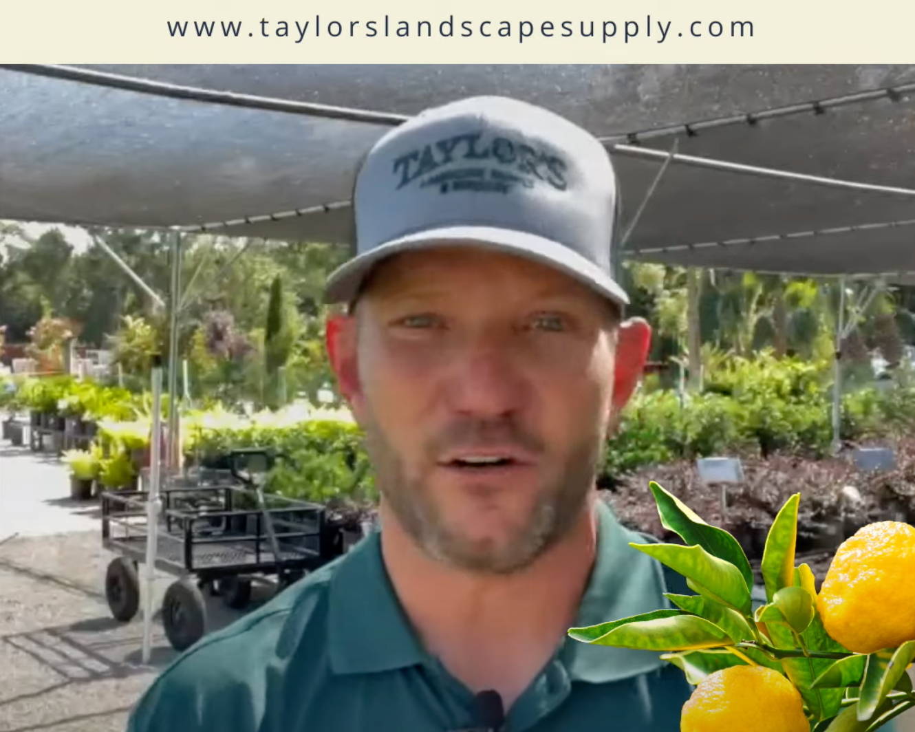 Our BIGGEST Citrus Shipment EVER!