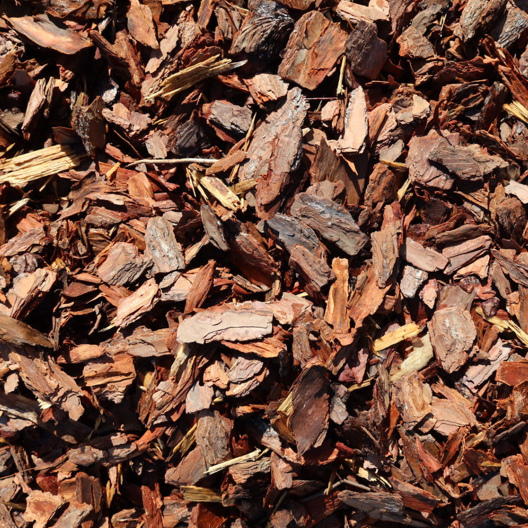 Large Pine Bark Nuggets