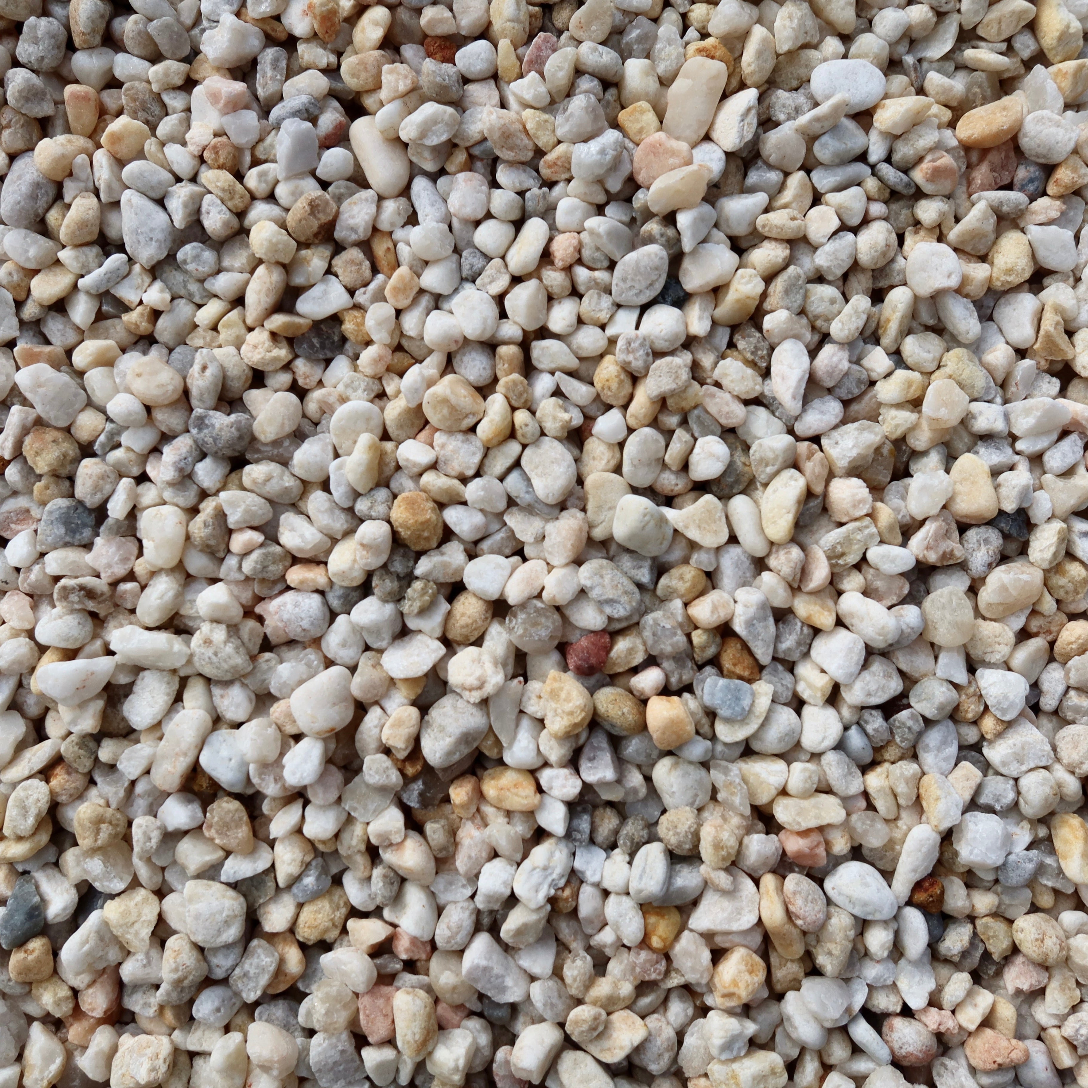 Small White North Carolina River Rock