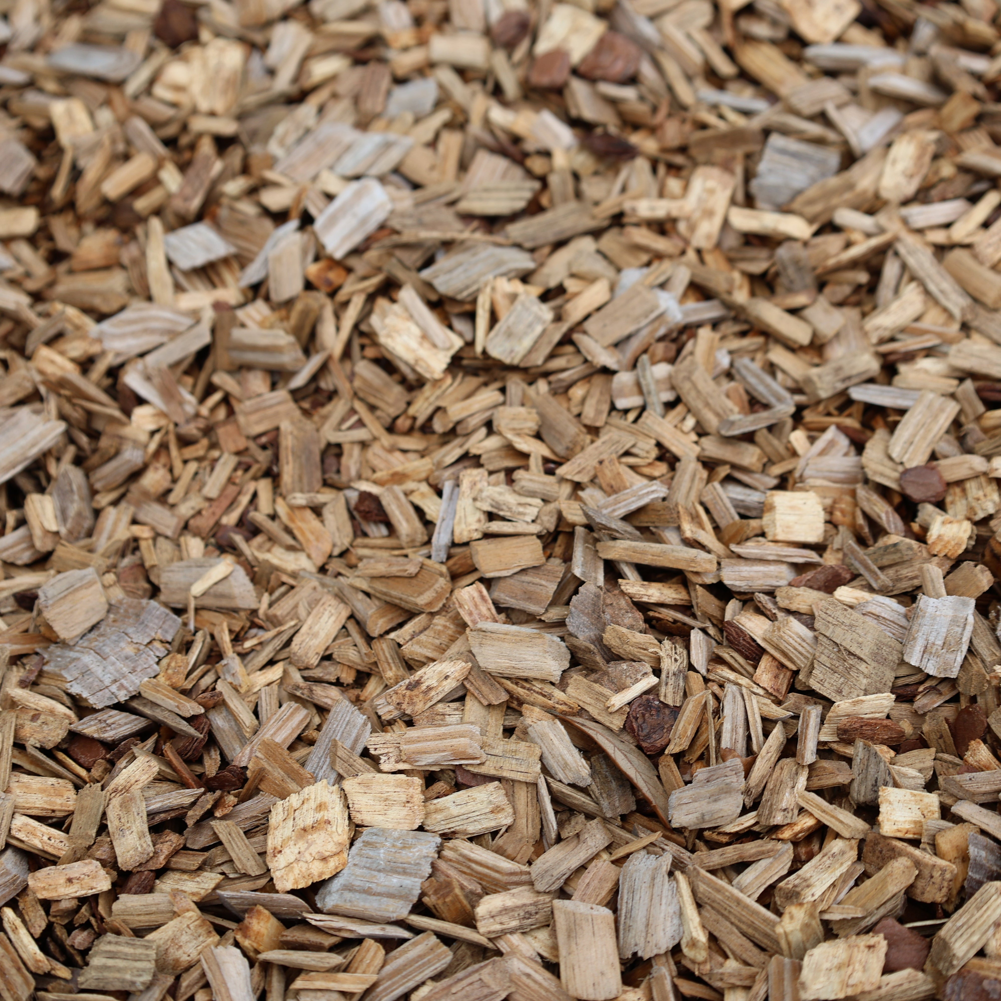 Playground Chips