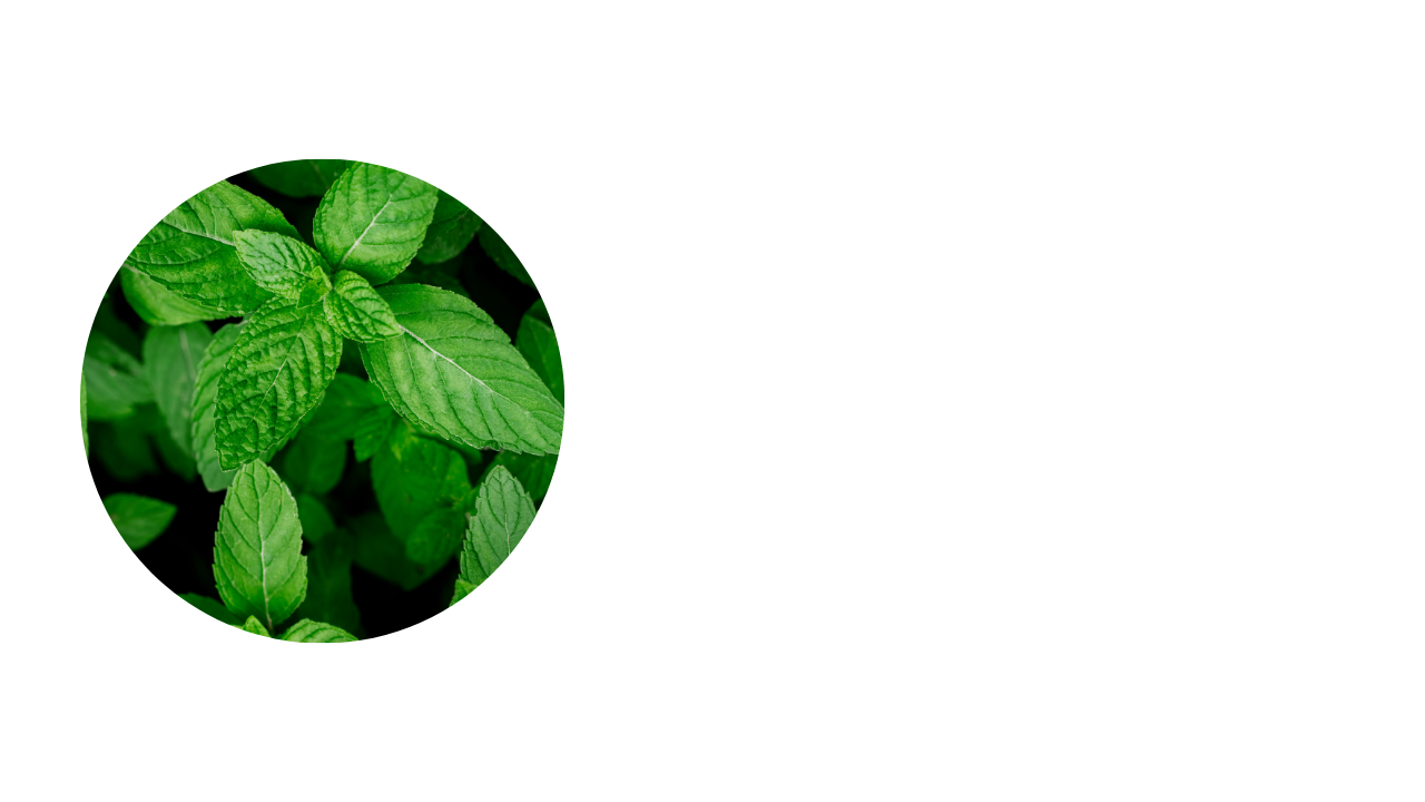 Herbsphoto layout 1 deb9b170 9b15 4d9d a1b5 83092669c436